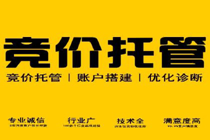 案例对比：不同竞价推广策略的优劣分析
